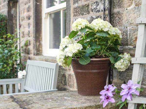 Beacon Cottage Ilkley Exterior foto